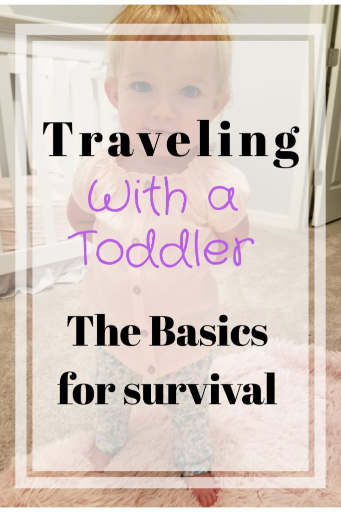 Survival Guide for Traveling with Baby or Toddler