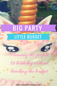 baby's 1st birthday on a budget