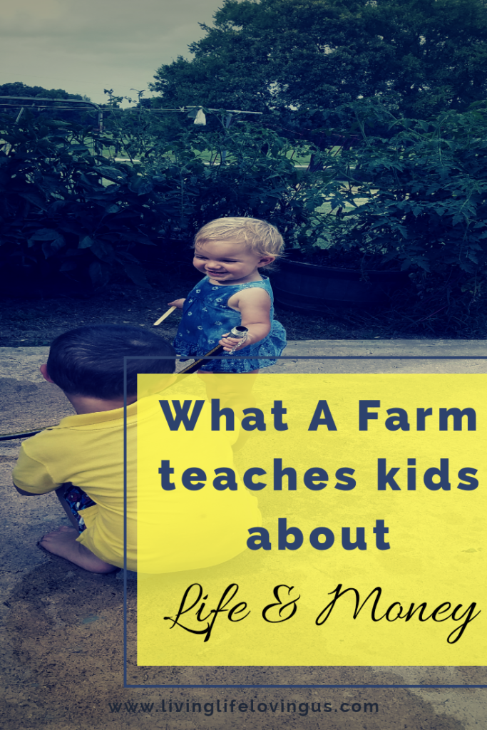 Life Lessons Learned on Farm. What a farm can teach kids about life and money
