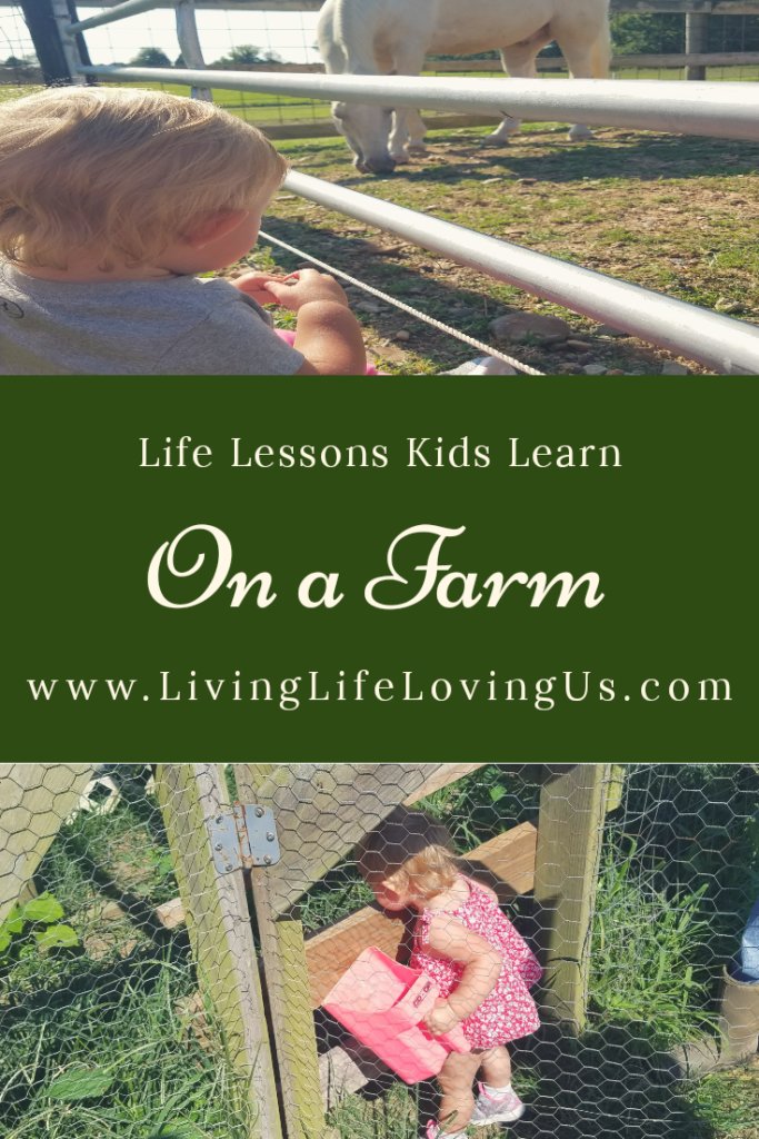 Life lessons learned on the farm. What a farm teaches kids about life, money and values