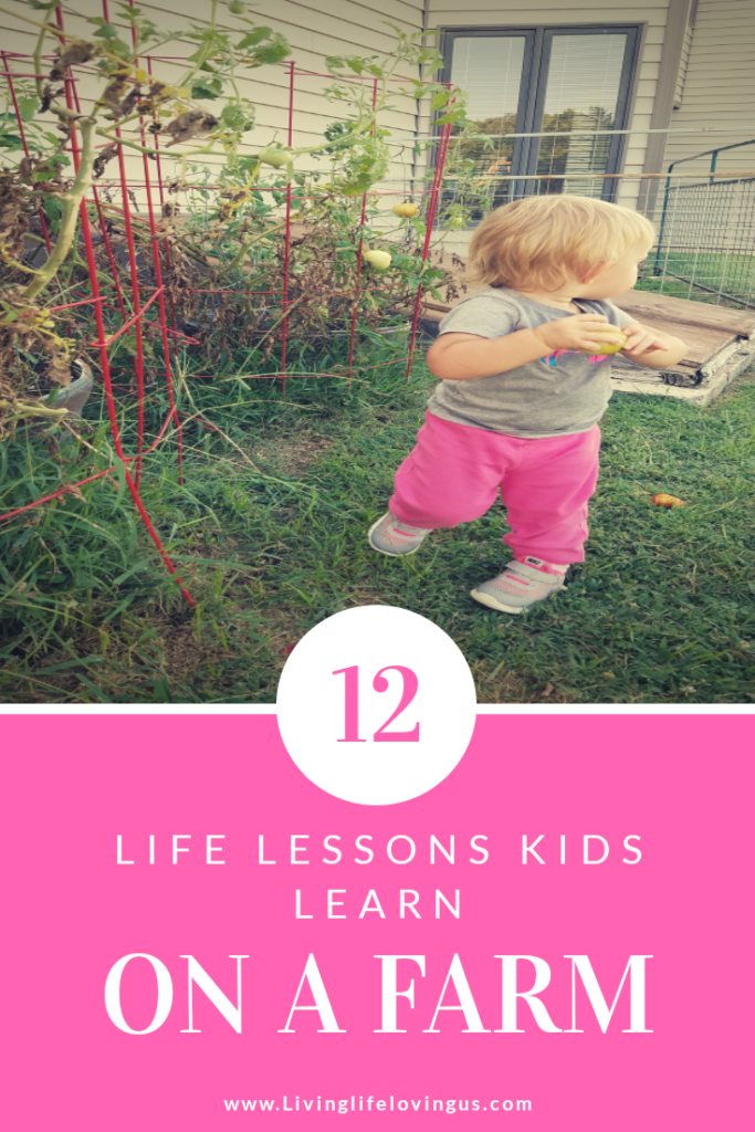 Life lessons learned on the farm. What a farm teaches kids about life, money and values