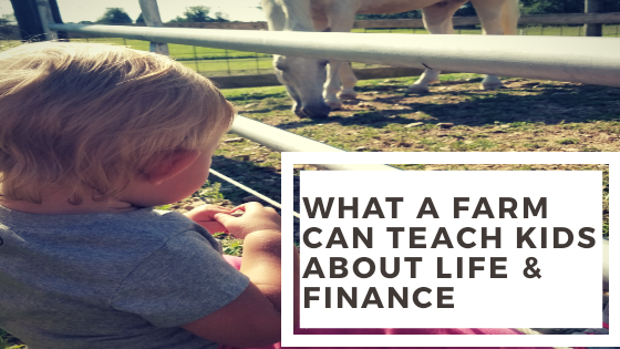 Life lessons learned on the farm. What a farm teaches kids about life, money and valuesLife lessons learned on the farm. What a farm teaches kids about life, money and values
