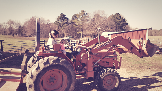 Life lessons learned on the farm. What a farm teaches kids about life, money and values